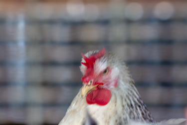 Similar image 21195020