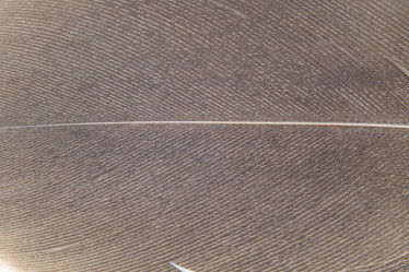 Similar image 21195023