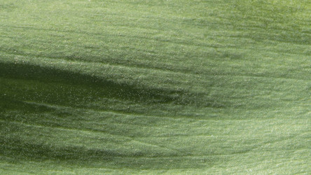 Similar image 21195024