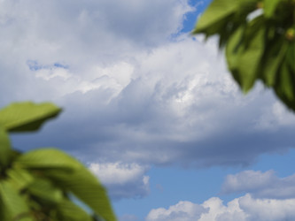 Similar image 21195026