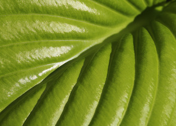 Similar image 21195028