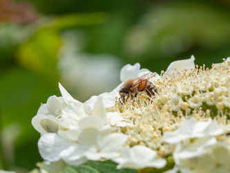 Similar image 21195030