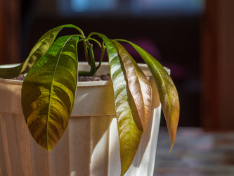 Similar image 21195032