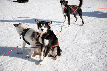 Similar image 21197044