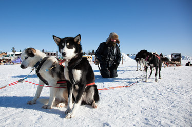 Similar image 21197045