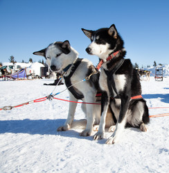 Similar image 21197047