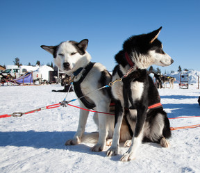 Similar image 21197049