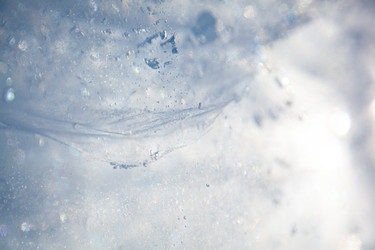 Similar image 21197053