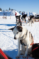 Similar image 21197055