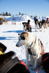 Similar image 21197057