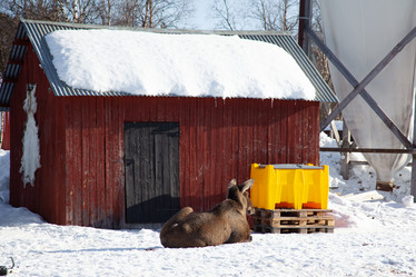 Similar image 21197067