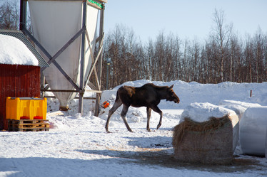 Similar image 21197071