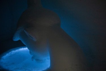 Similar image 21197110