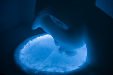 Similar image 21197112