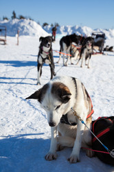 Similar image 21197134