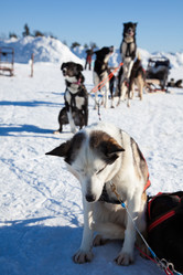 Similar image 21197135