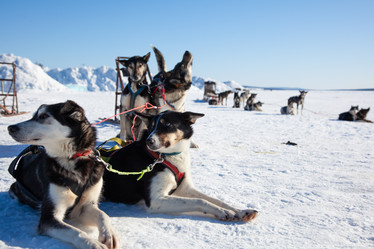 Similar image 21197136