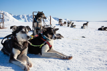 Similar image 21197137