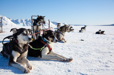 Similar image 21197138