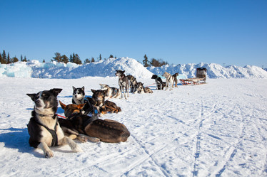 Similar image 21197139