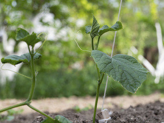 Similar image 21192359