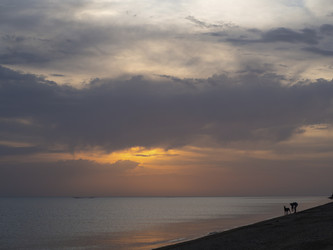 Similar image 21192360