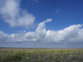 Similar image 21192362