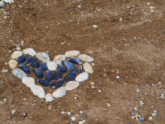 Similar image 21192363