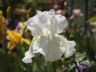 Similar image 21192366