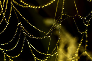 Similar image 21190186