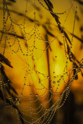 Similar image 21190187