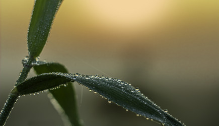 Similar image 21190188