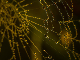 Similar image 21190189