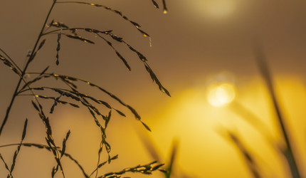 Similar image 21190190