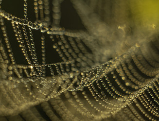 Similar image 21190191