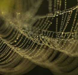 Similar image 21190192