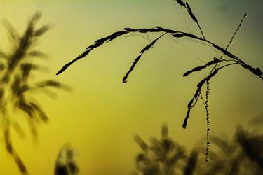 Similar image 21190212