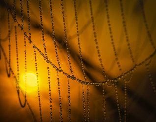 Similar image 21190629