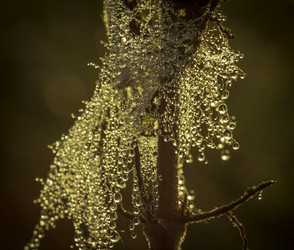 Similar image 21190214