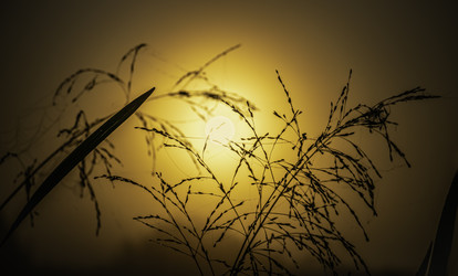 Similar image 21190216