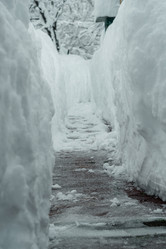 Similar image 21193541