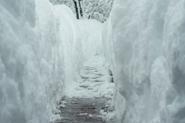 Similar image 21192645