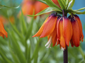 Similar image 21195036