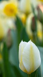 Similar image 21195037