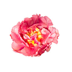 Similar image 21195040