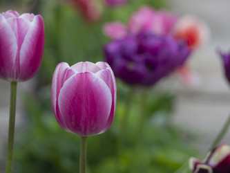 Similar image 21195042