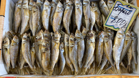 Similar image 21189861