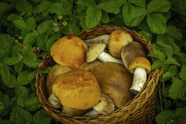 Similar image 21190218