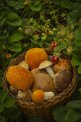 Similar image 21190219