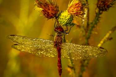 Similar image 21190220